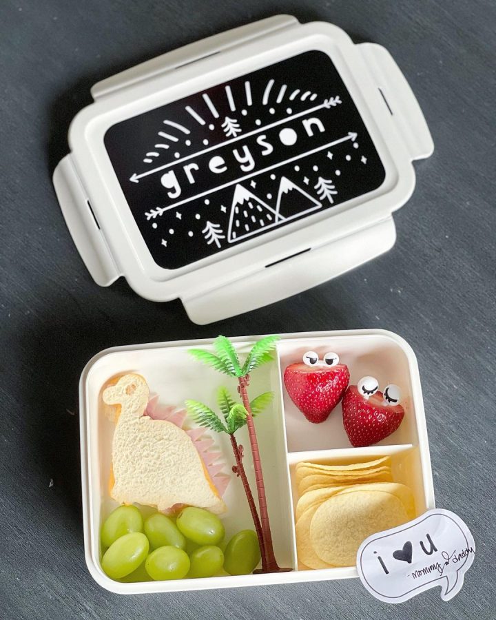 25 Genius Bento Box Lunch Ideas for Your Kids — Eat This Not That