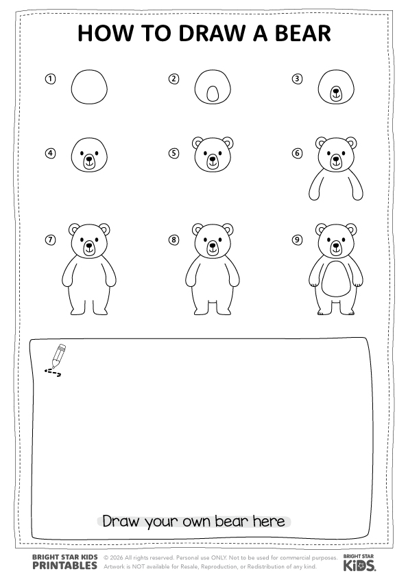 How To Draw A Bear