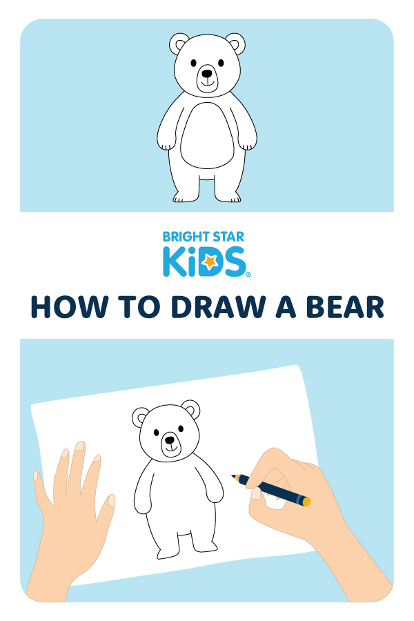 How To Draw A Bear