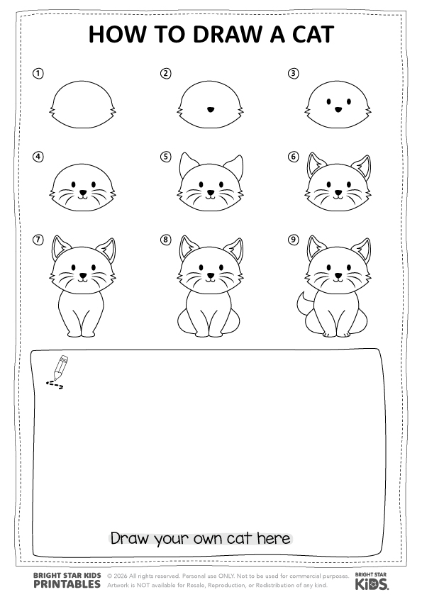 How To Draw A Cat