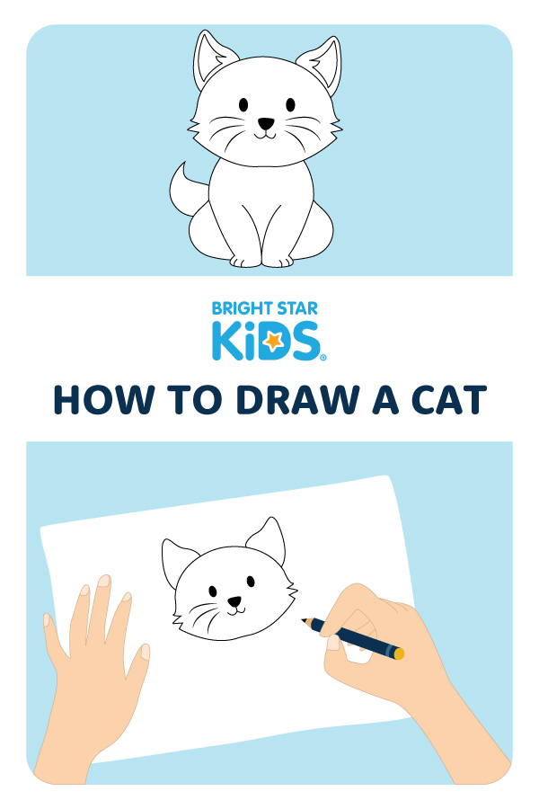 How To Draw A Cat