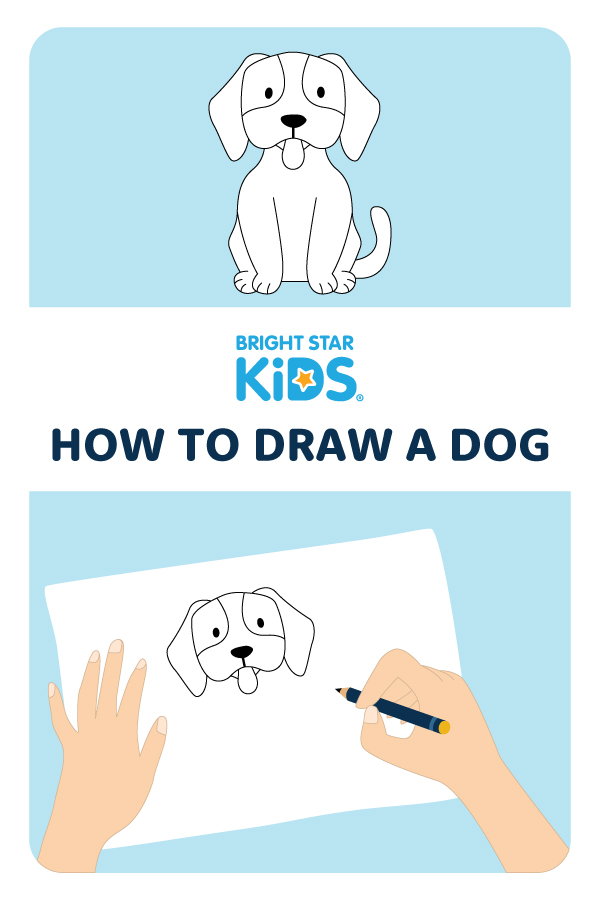 How To Draw A Dog