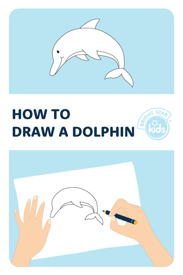 How To Draw A Dolphin Step By Step