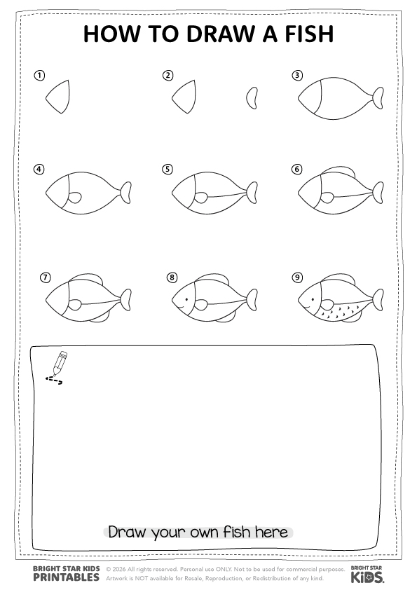 How To Draw A Shark