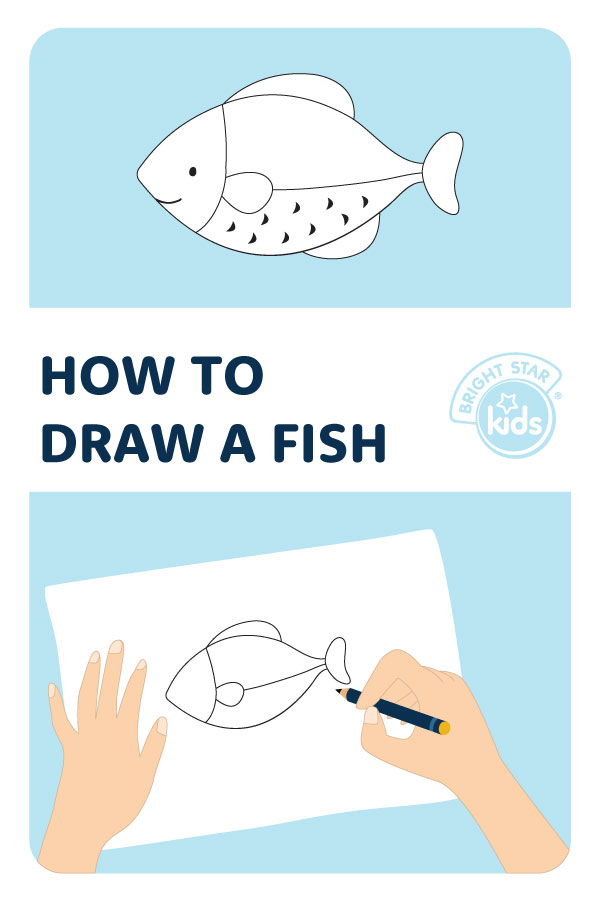 Fish drawing for beginners  How to draw fish step by step