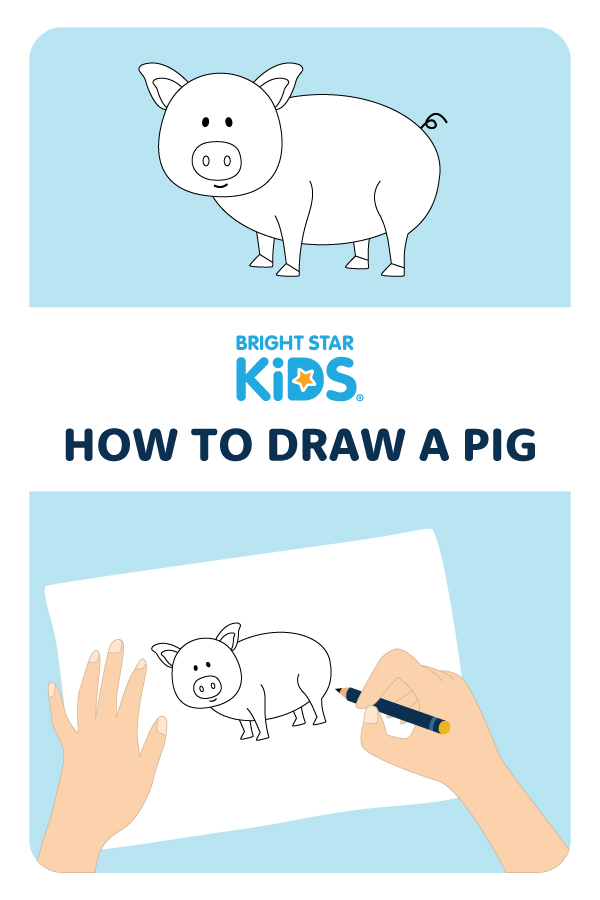 How To Draw A Pig