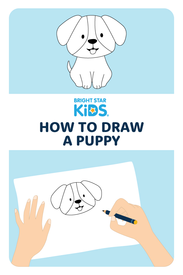 How To Draw A Puppy