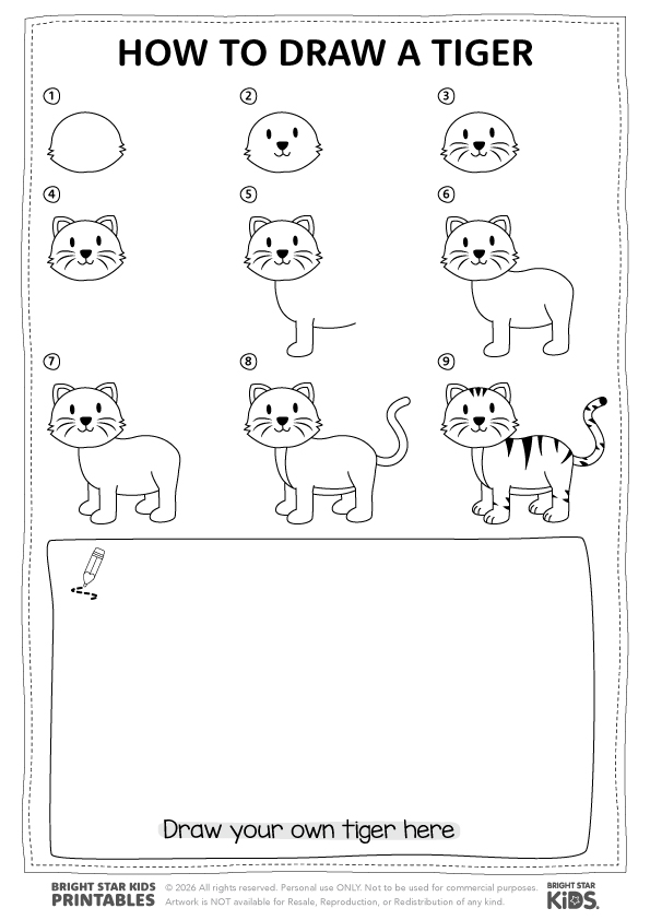 How To Draw A Tiger