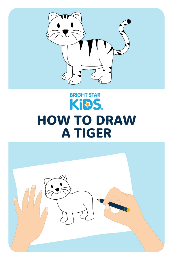 How To Draw A Tiger