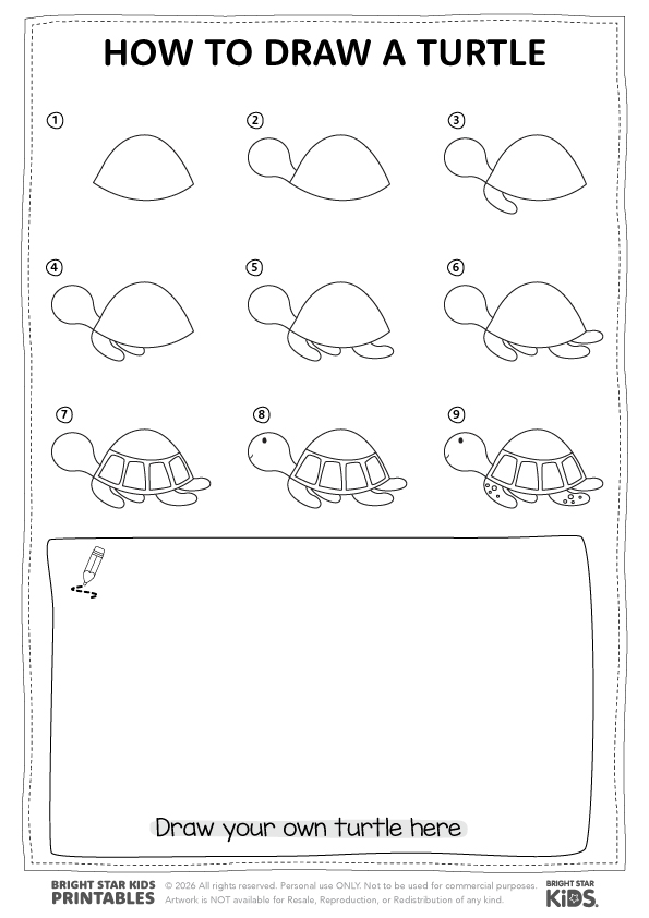 How To Draw A Turtle