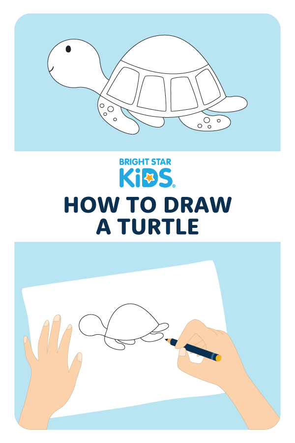 How To Draw A Turtle