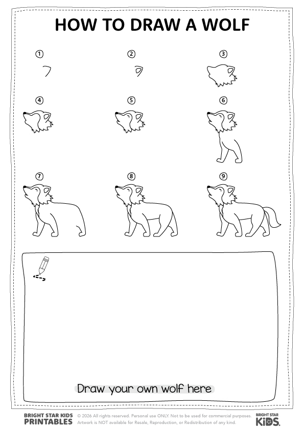 How To Draw A Wolf