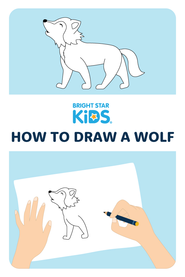 How To Draw A Wolf
