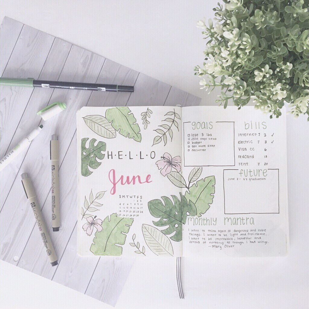 bullet journal
