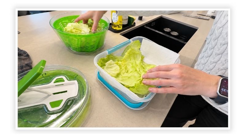 Whole iceberg lettuce in a paper-towel-lined container to keep food fresh for longer