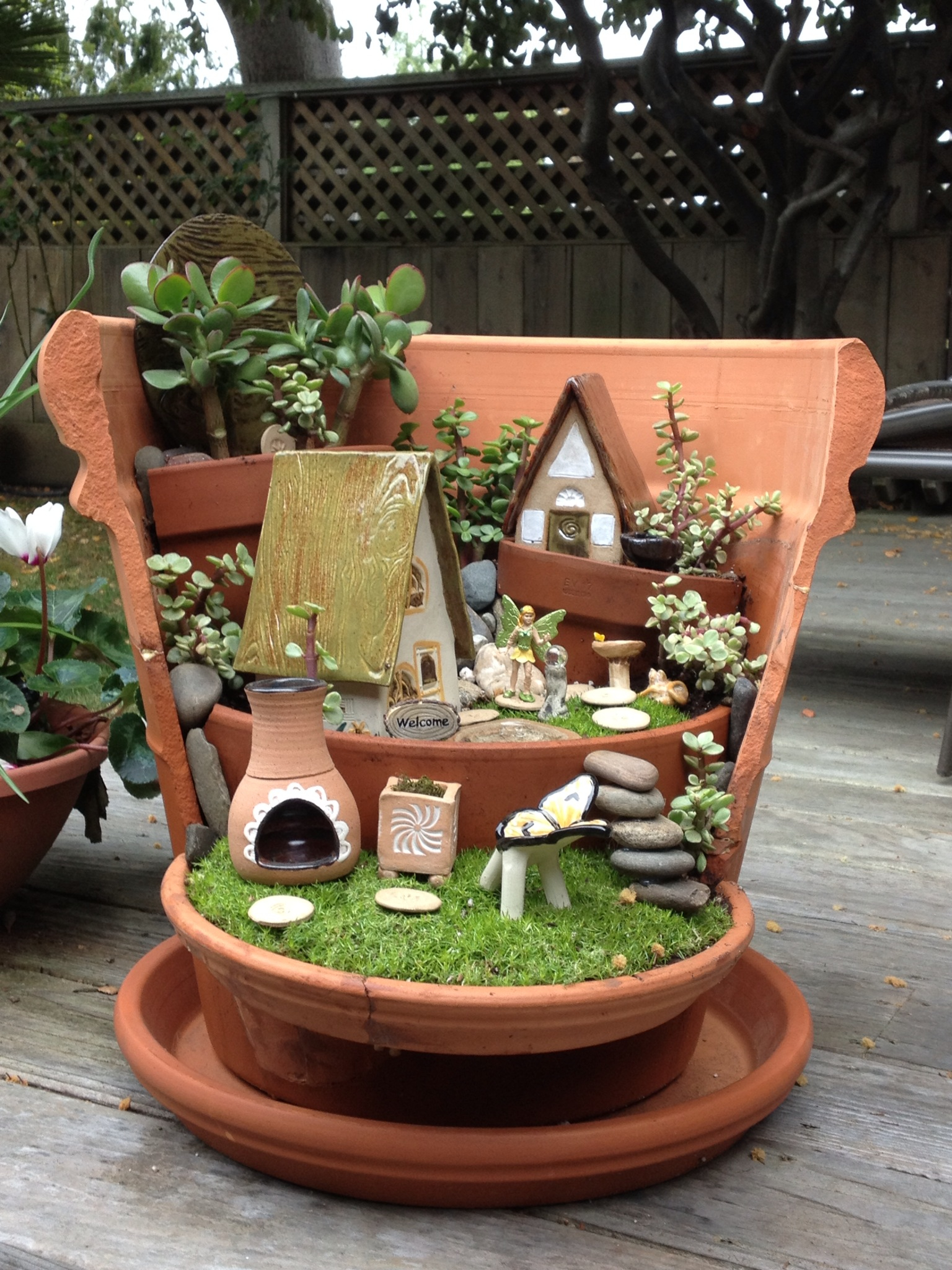 fairy garden