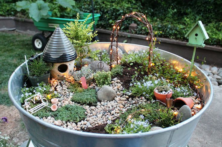 fairy garden