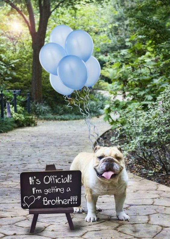 Baby Announcement Ideas Baby Announcement Ideas