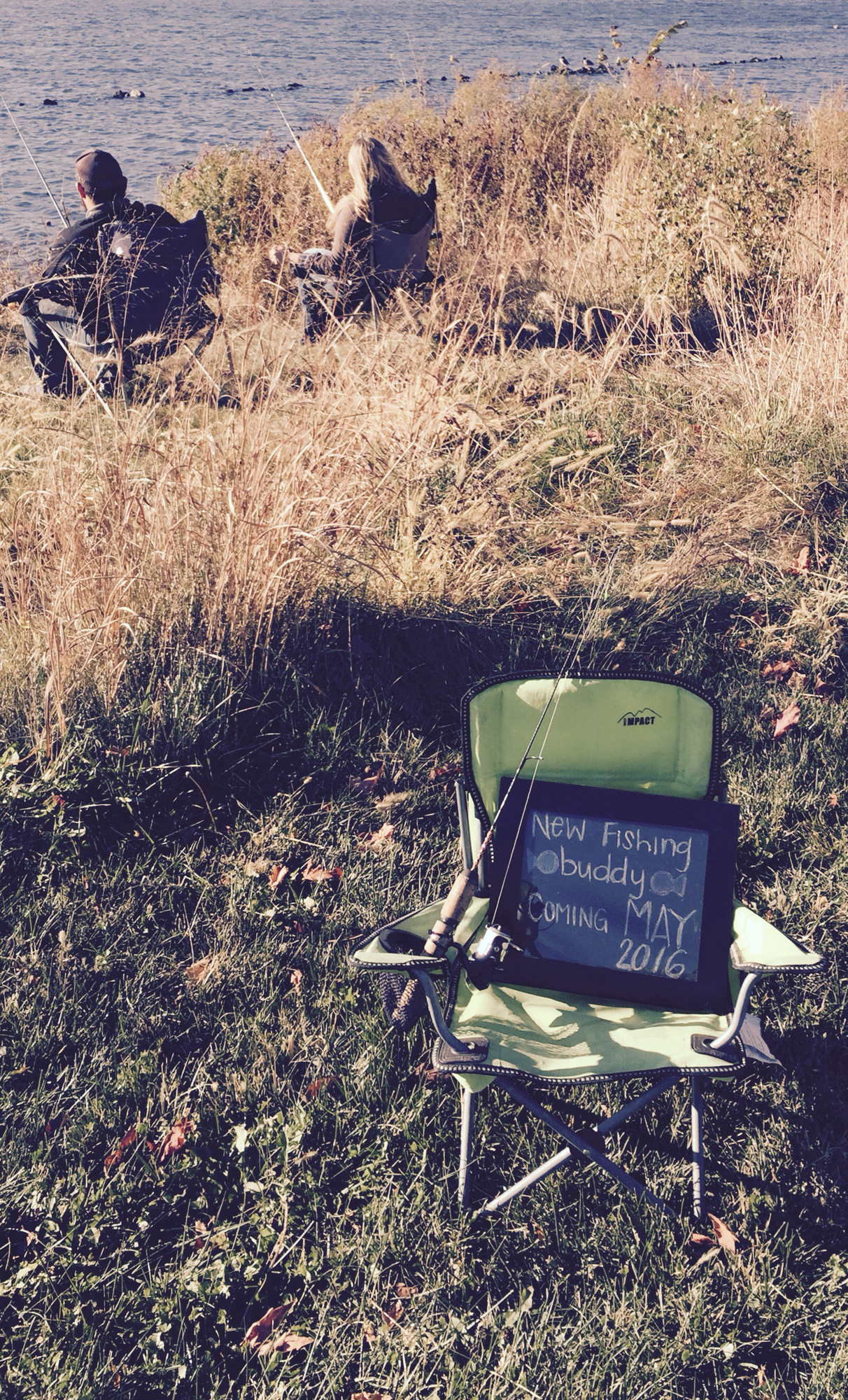 pregnancy announcement ideas