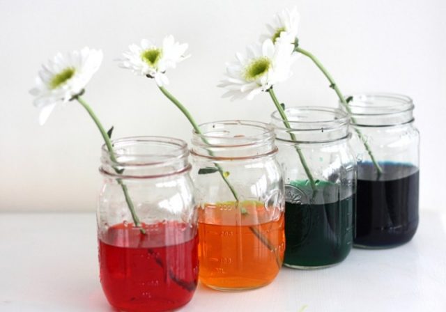 20 Fun Toddler Activities - Bright Star Kids - Arts And Crafts For Toddlers