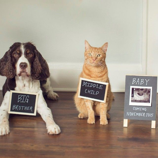 birth announcement ideas